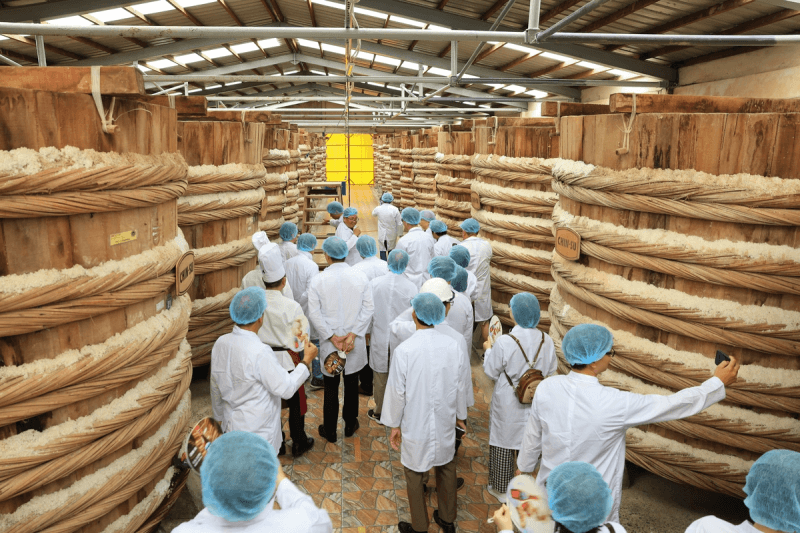 Hệ thống nhà thùng Nam Ngư hiện đại với hơn 1.000 thùng ủ chượp